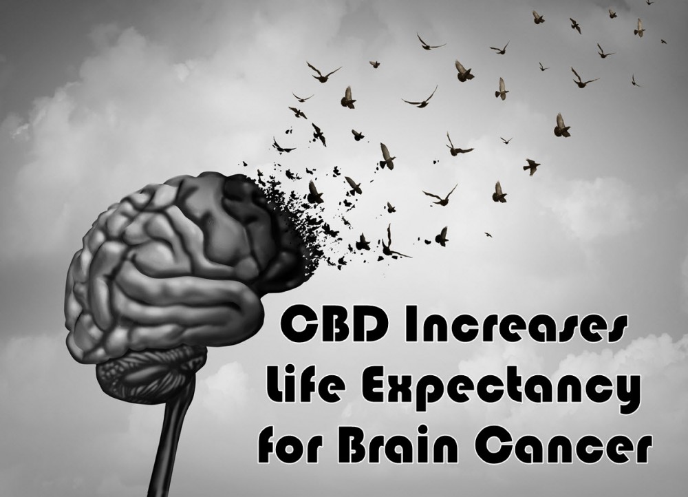 cbd for brain cancer